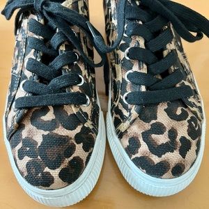 Steve Madden leopard platform sneakers size 5.5!